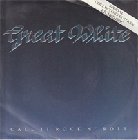 CALL IT ROCK N'ROLL / THE HUNTER