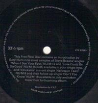 NUMAN INTRODUCES SAMPLES (STEVE BRAUNS & HOHOKAMS)