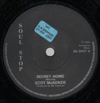 SECRET HOME / OPEN SECRET
