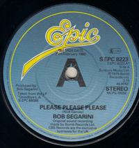 PLEASE PLEASE PLEASE / DONT BELIEVE A WORD I SAY - PROMO